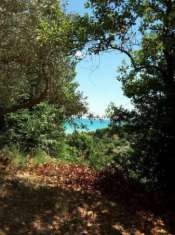 Foto Singola in vendita a Cupra Marittima