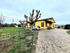 Foto Singola in vendita a Rovigo
