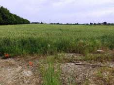Foto Soliera vendesi terreno agricolo 11340 Mq