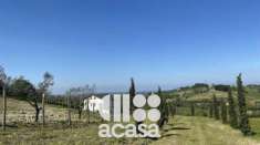 Foto SOLO PER IMPRENDITORI AGRICOLI