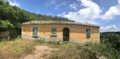 Foto SP231 - Villa Padronale e Casa colonica con 8 ettari di terreno