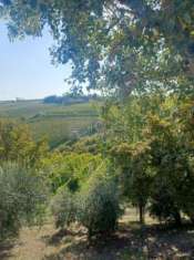 Foto SPLENDIDO PODERE