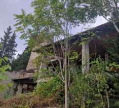 Foto Stabile / Palazzo in Vendita, 1 Locale, 225 mq, Prato