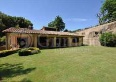 Foto Stabile/Palazzo in Vendita, pi di 6 Locali, 350 mq (Pitigliano)