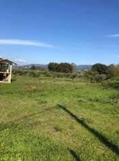 Foto Stabile/Palazzo in vendita a Sarzana 600 mq  Rif: 1285097