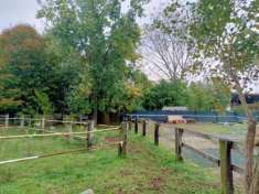 Foto Sviluppo area sportiva centro equitazione