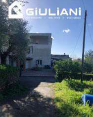 Foto Tenuta in Vendita, pi di 6 Locali, 3492 mq, Velletri