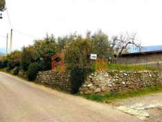Foto Terratetto con ingresso indipendente  e terreno Rigutino