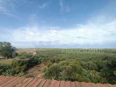 Foto Terratetto in Vendita, pi di 6 Locali, 380 mq (Misiliscemi)