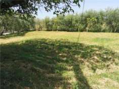 Foto Terratetto in vendita a Isola - San Miniato 480 mq  Rif: 1277471