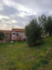 Foto Terratetto in vendita a Magliano in Toscana 92 mq  Rif: 1305089