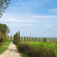 Foto Terratetto in vendita a Monsindoli - Monteroni d'Arbia 102 mq  Rif: 1275485