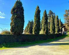 Foto Terratetto in vendita a Montespertoli