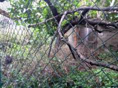 Foto Terratetto in vendita a Villa Basilica 80 mq  Rif: TRC VB 50