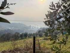 Foto Terratetto plurifamiliare in vendita a Tenno