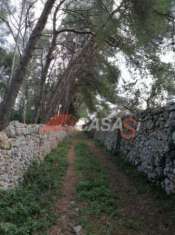Foto Terreni Agricoli
