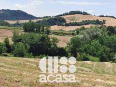 Foto TERRENI AGRICOLI