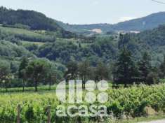 Foto Terreni agricoli