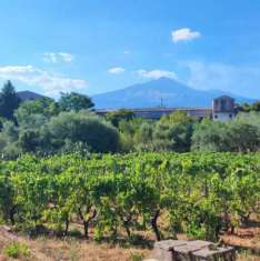 Foto Terreni disponibili presso il nostro punto vendita