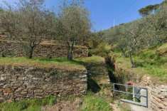 Foto Terreno a Buti - Rif. 2536210