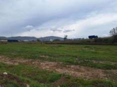 Foto Terreno a Carsoli - Rif. 25079