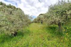 Foto Terreno a Cerreto Guidi - Rif. 23461