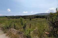 Foto Terreno a Francofonte - Rif. 20882