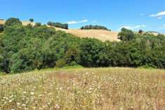 Foto Terreno a Isola del Piano - Rif. 21669