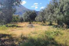Foto Terreno a Partinico - Rif. 20948