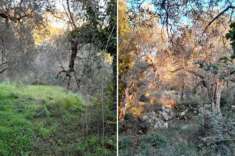 Foto Terreno a Postiglione - Rif. 2536036