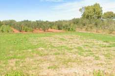 Foto Terreno a Supersano - Rif. 20878