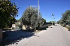 Foto Terreno Agricolo - Avola . Rif.: A.67