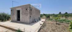 Foto Terreno Agricolo - Avola . Rif.: A 69