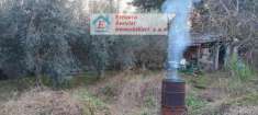 Foto Terreno Agricolo - Campiglia Marittima . Rif.: 9
