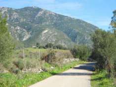 Foto Terreno Agricolo - Iglesias . Rif.: 31005908