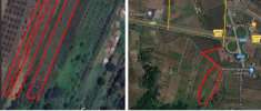 Foto Terreno Agricolo - Lamezia Terme . Rif.: 32808