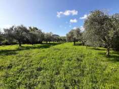 Foto Terreno Agricolo - Ro Volciano . Rif.: 001 TA Liano