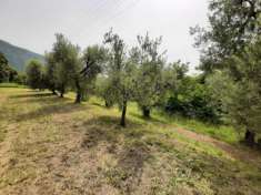 Foto Terreno Agricolo - Ro Volciano . Rif.: 001 TA Trobiolo