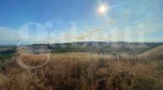 Foto Terreno Agricolo - Roseto degli Abruzzi . Rif.: Cod. rif A132VCG