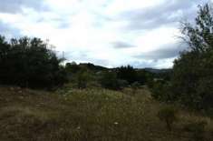 Foto Terreno Agricolo 2 particelle Contrad Giannittello Caltanissetta - San Cataldo