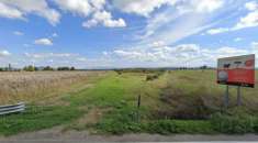 Foto Terreno agricolo 6.000 mq con pozzo e olivi