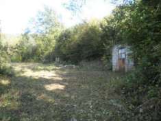 Foto Terreno agricolo