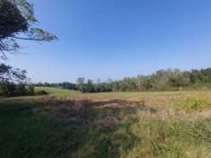 Foto Terreno agricolo
