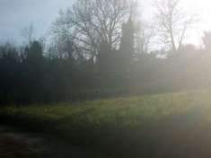 Foto terreno agricolo