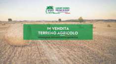 Foto TERRENO AGRICOLO