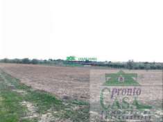 Foto TERRENO AGRICOLO