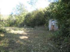 Foto Terreno agricolo