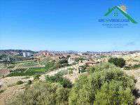 Foto Terreno agricolo