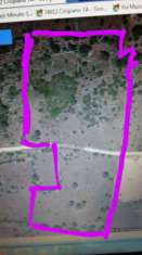 Foto Terreno agricolo