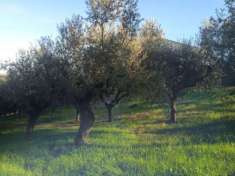 Foto TERRENO AGRICOLO